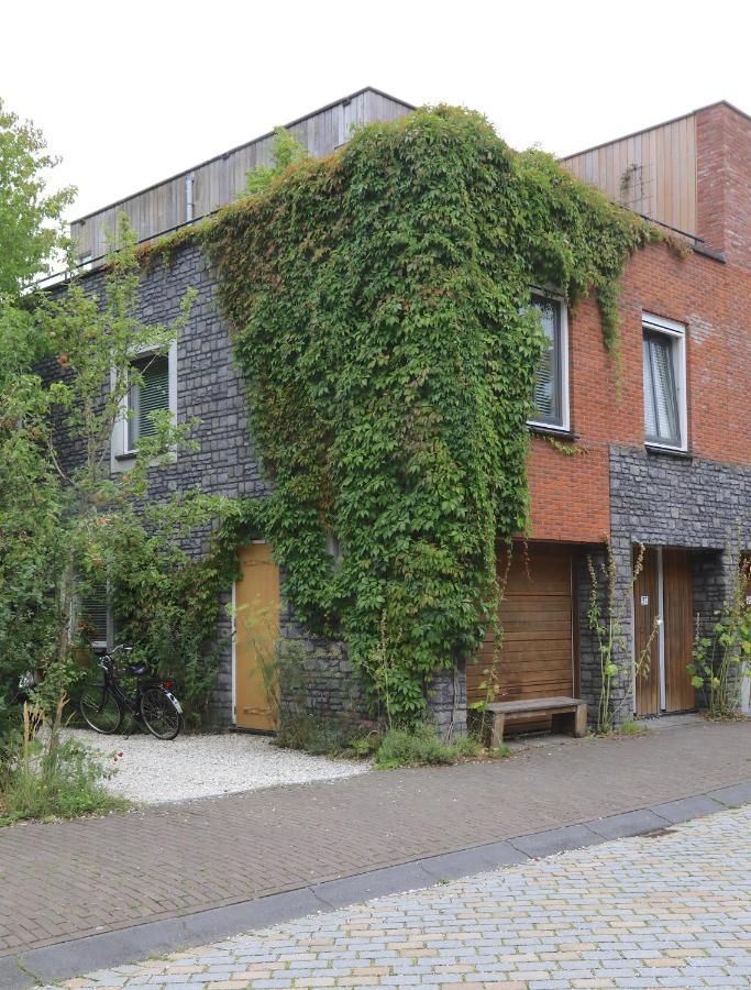 B&B De Zwanebloem Amsterdam Exteriör bild