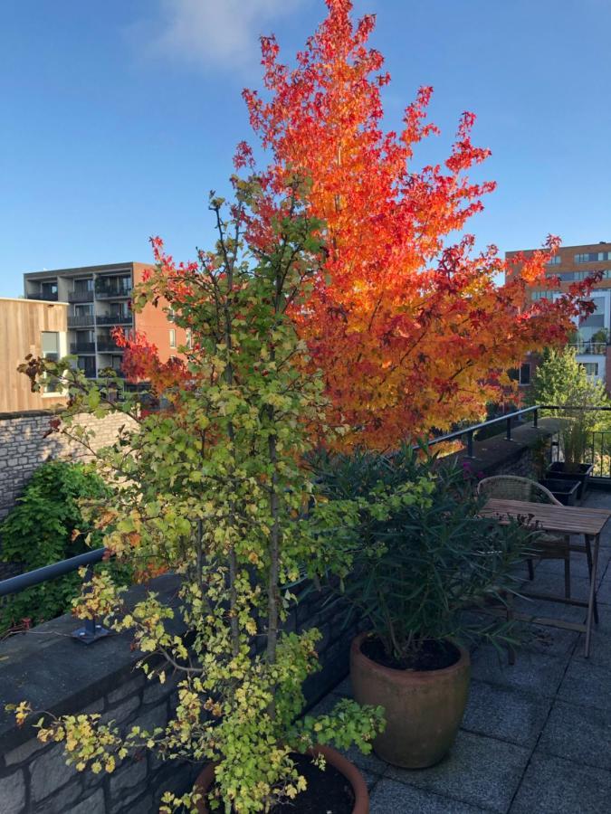 B&B De Zwanebloem Amsterdam Exteriör bild